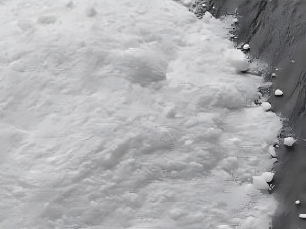 Benzenowa sól sodowa z kwasem siarczkowym (SBS)